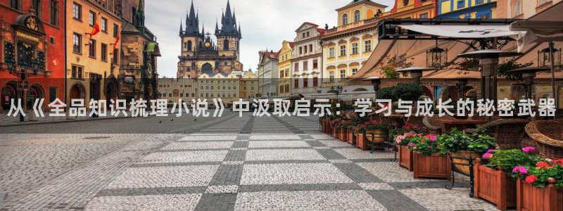 五月小说区：从《全品知识梳理小说》中汲取启示：学习与成长的秘密武器